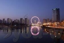 90 s足球比分-90秒足球比分，绿茵场上的速度与激情，瞬息万变的数字盛宴