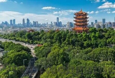 黄海足球13号比分-黄海足球13号，一场比分背后的荣耀与拼搏