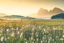 竞彩足球比分直播新浪-新浪竞彩足球比分直播，足球迷的实时盛宴与深度解析