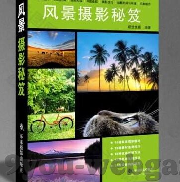 球探足球比分价格-球探足球比分价格，深度解析与价值探讨