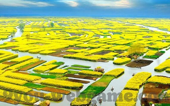 足球比分及时网-足球比分及时网，足球迷的实时数据港湾